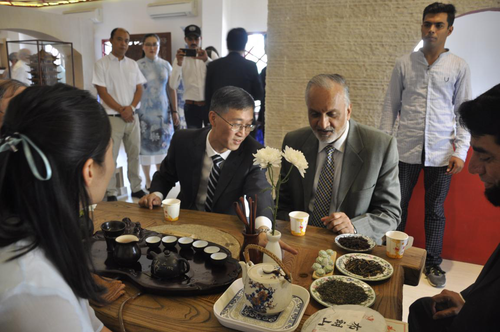 大使亲自解说茶道 大使亲自解说茶道