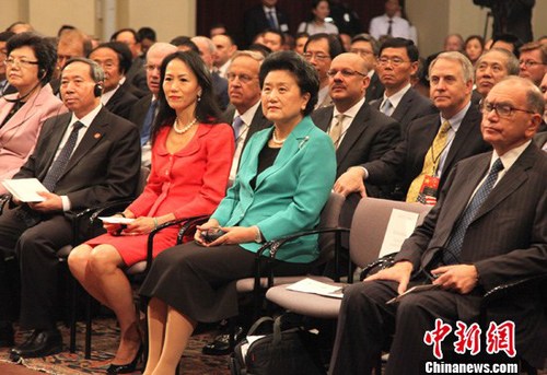 刘延东访美 刘延东访美