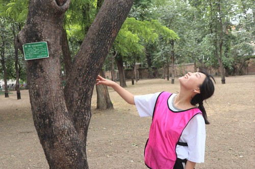 2 参赛选手辨识植物 2 参赛选手辨识植物