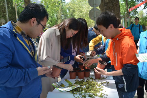 志愿者为北语学子介绍绿植种植方式 志愿者为北语学子介绍绿植种植方式