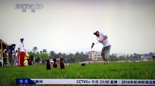 央视五台报道木球世界杯 央视五台报道木球世界杯