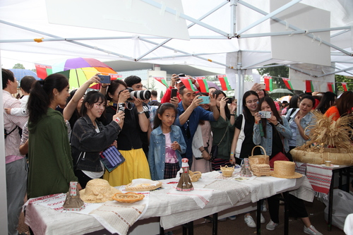 IMG_7234 IMG_7234