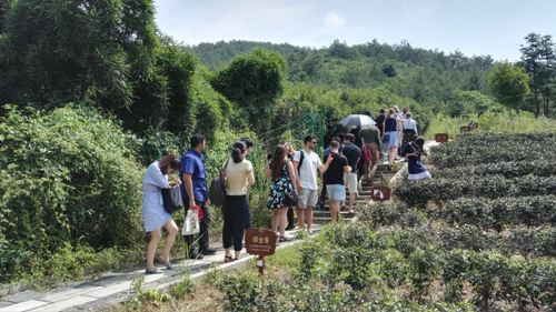 2018.7.17 佐治亚州立大学孔院青年领袖中国行新闻稿(最新版)1718 2018.7.17 佐治亚州立大学孔院青年领袖中国行新闻稿(最新版)1718