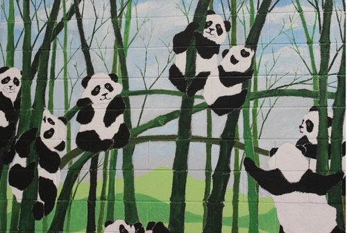 东点学校的吉祥物--熊猫 东点学校的吉祥物--熊猫